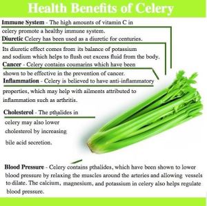 304447_10151036210170863_1803727947_n