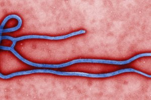 26803410_00_d-800x533_f-0_c-400x266