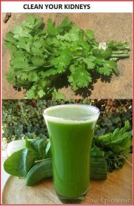 947020_295963177203348_867222704_n