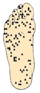 get-attachment.aspx-2