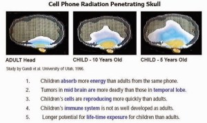 Why You Should Stop Keeping Your Cell Phone In These Common Places